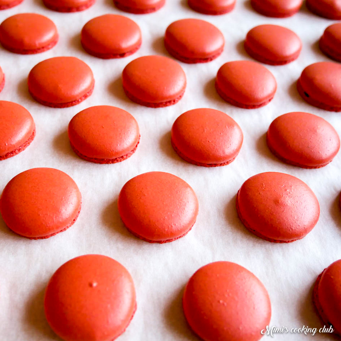 macarons inratables