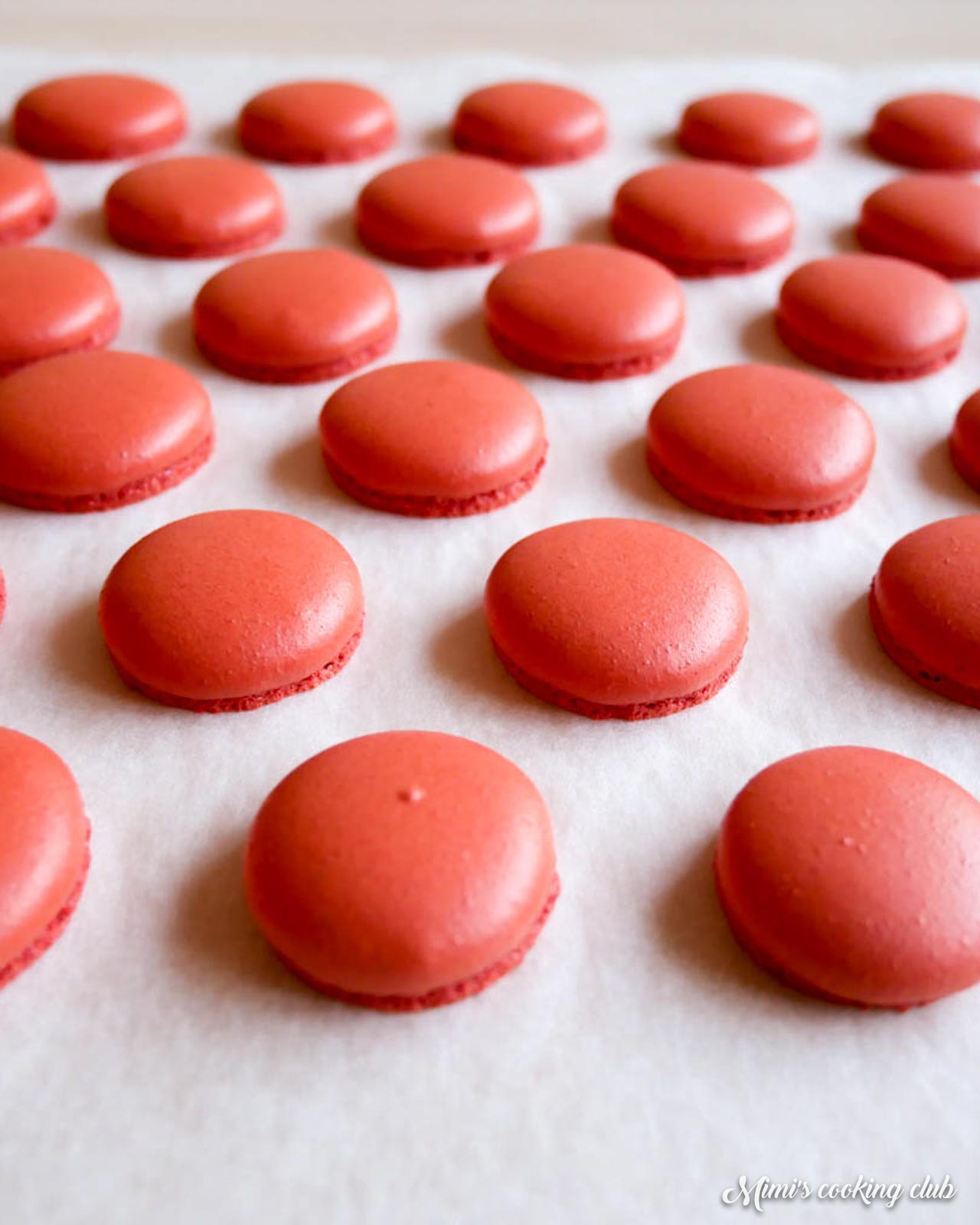 macarons inratables