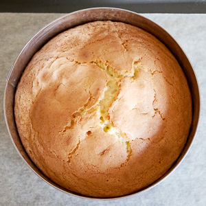 entremets tropical chocolat blanc